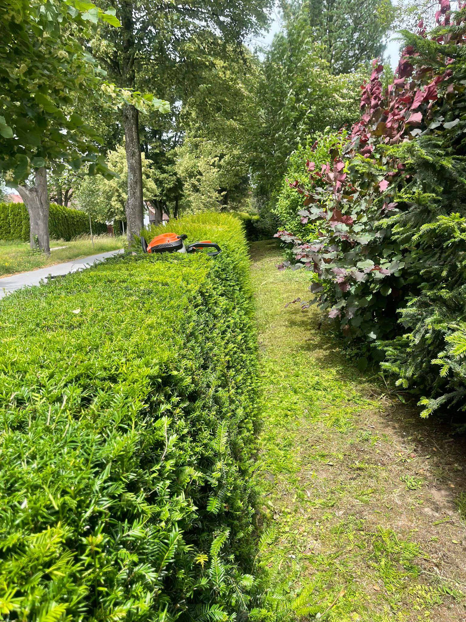 Gartenbau in Passau